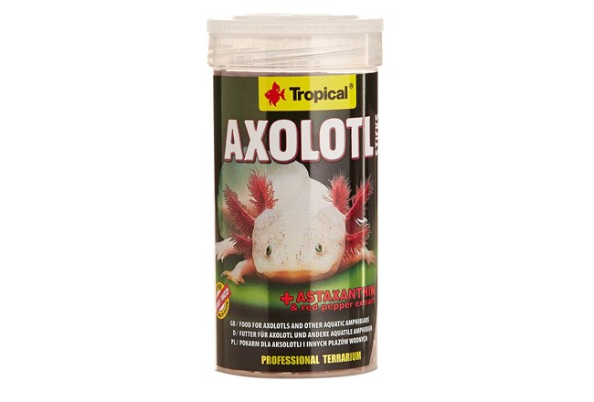 🦎 Axolotl Haltung – Axolotl Fütterung, Futter, Lebendfutter